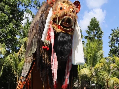 Balinese Barong. Stock Footage 70516936
