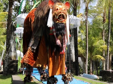 Balinese Barong Stock Footage 70517243