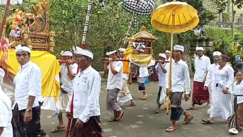 Balinese ceremony Stock Footage 241678332