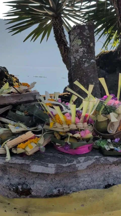 Balinese offerings Video stock 311518197