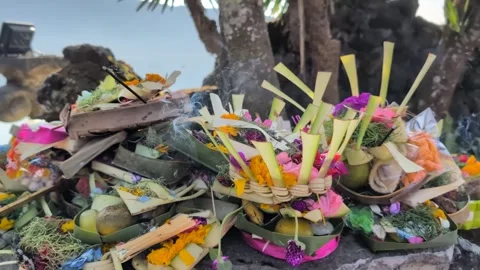 Balinese offerings Stock Footage 311518208