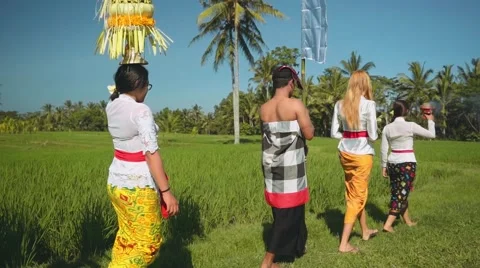 Balinese procession going through rice fields with offerings Stock Footage 67851286