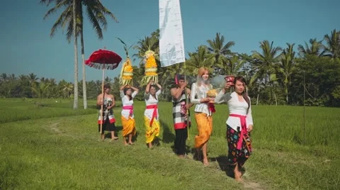 Balinese procession going through rice fields with offerings Video stock 67851705