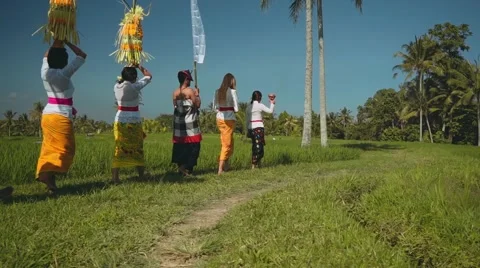Balinese procession going through rice fields with offerings Stock Footage 67851707