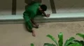 Balinese Sand-Painting HD Footage