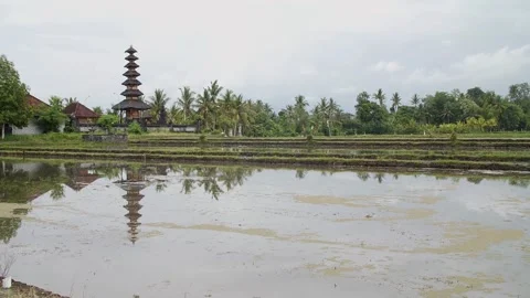 Balinese temple 3 Stock Footage 264574085