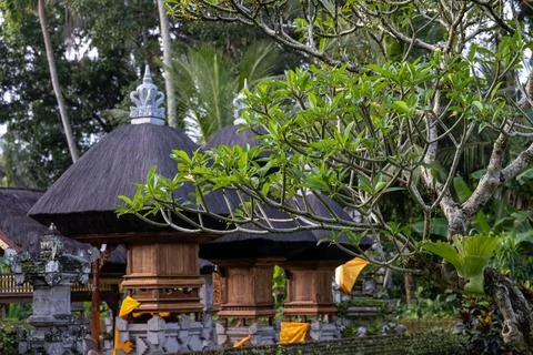 Balinese Temple Shrines Among Tropical Trees in Ubud Stock-Fotos