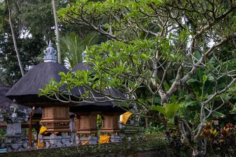 Balinese Temple Shrines Behind a Tropical Garden Stock Photos