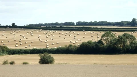 Baling in the summer heat Stock Footage 248181482