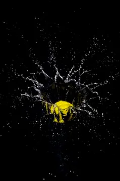 Ball and splash. Stock Photos