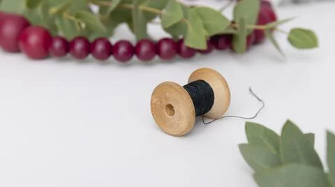 A ball of black string on the white table is next to the eucalyptus. Close up Stock Photos