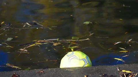 Ball floating in a park pond Stock Footage 18188439