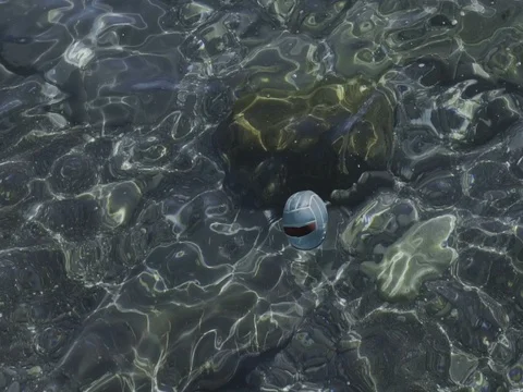 Ball Floating in the Sea Vídeo Stock 78076022