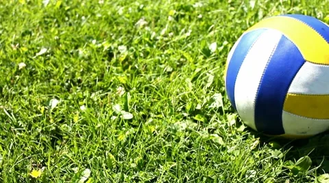 Ball on grass Видео 8687962