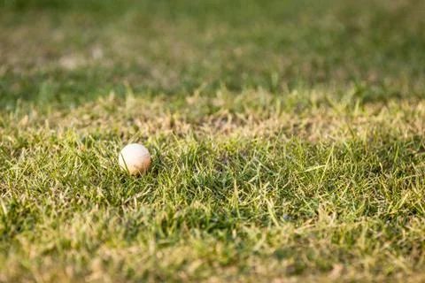 Ball on grass Stock Photos