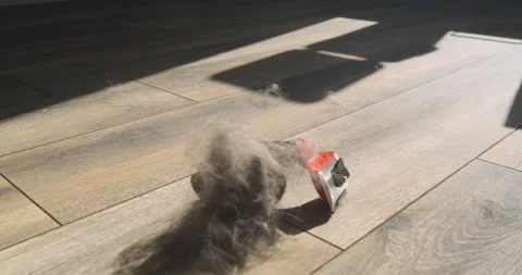 Ball of gray wool falls on a furminator lying on the floor of a room in the rays Vidéo 206402446