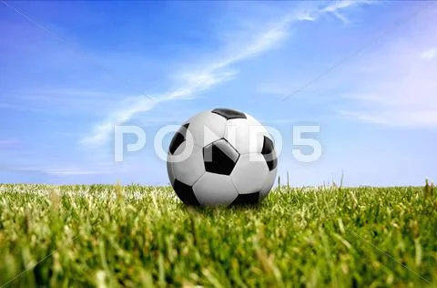 A ball on green grass Stock Photos