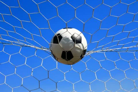A ball on a net Stock Photos