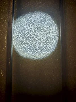  ball or round shaped object, pattern and texture on a surface ball or rou... 스톡 사진
