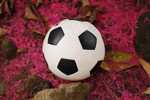 Ball Stock Photos