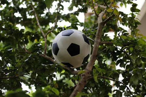Ball Stock Photos