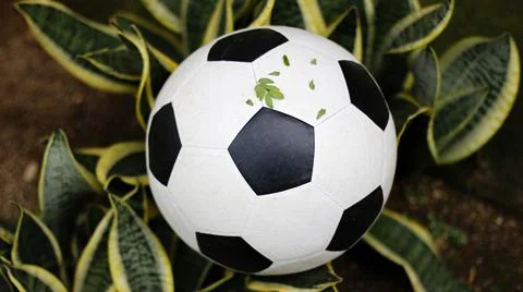 Ball Stock Photos