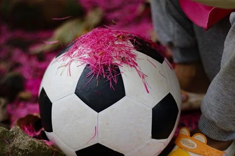 Ball Stock Photos