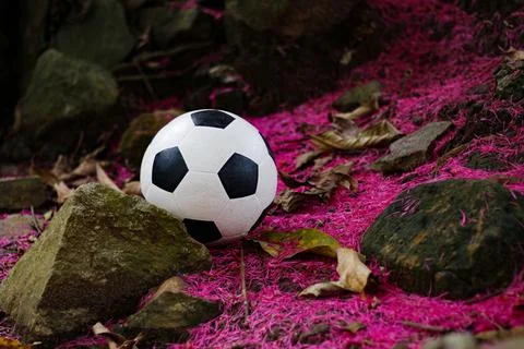 Ball Stock Photos