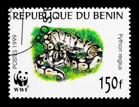 Ball Phyton (Python regius), World Wide Fund serie, circa 1999 스톡 사진
