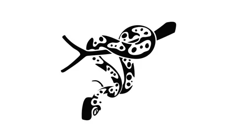 Ball python icon animation Stock Footage 152770731