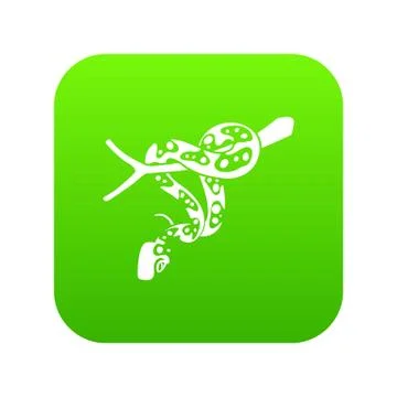Ball python icon green vector Stock Illustration