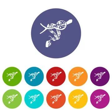 Ball python icons set vector color Stock Illustration