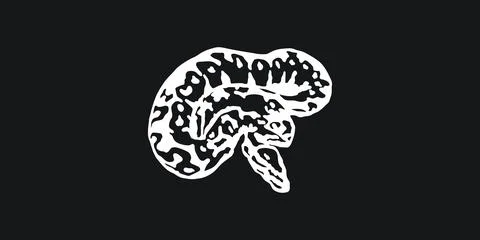 Ball Python Morph Vector - Royal Python Snake Exotic Pet Illustration Stock-Illustration