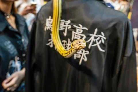 Ball python Foto stock