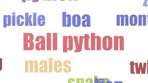 Ball Python Tag Cloud Animated On White Background Stock Footage 103667457