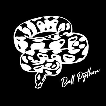 Ball Python Vector – Snake Illustration Stock Illustration