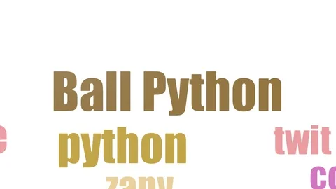 Ball Python Wordcloud Animated On White Background Stock Footage 107209677