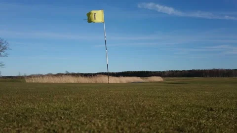 Ball roll on the golf course Stock Footage 143155964