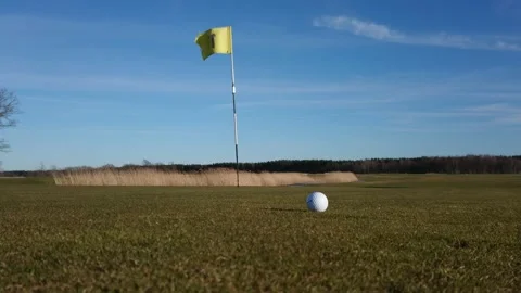 Ball roll on the golf course Stock Footage 143155966