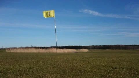 Ball roll on the golf course Stock Footage 143155973