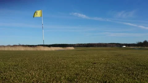 Ball roll on the golf course Stock Footage 143155979