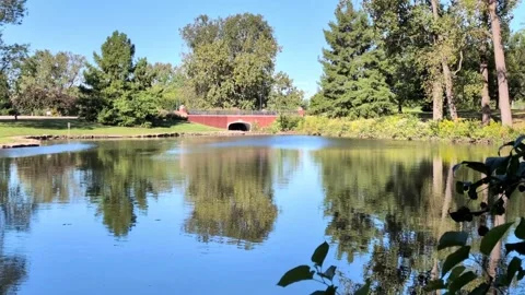 Ball State University Duck Pond – Calm Weather Blue Sky Reflections (Muncie, Ind Stock Footage 345007076