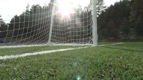 The ball stops in front of the goal Stock Footage 72015171