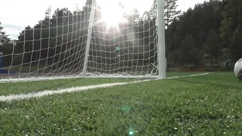 The ball stops in front of the goal Stock Footage 72015173