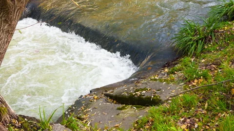 Ball stuck in a stream Stock Footage 320558285