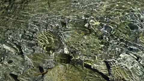 Ball sunlight effects on the ground of a mountain stream (slow motion) Stock-Footage 260842793