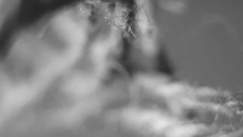 Ball of thread microscopic reel up Stock Footage 76949312