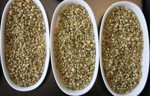 Ball Thyme Stock Photos