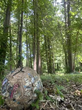 Ball in woods Stock Photos