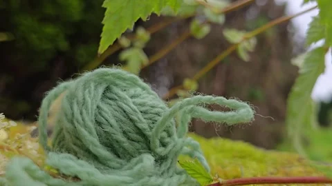 Ball of wool yarn against sunset and forest branches Stock Footage 342608213